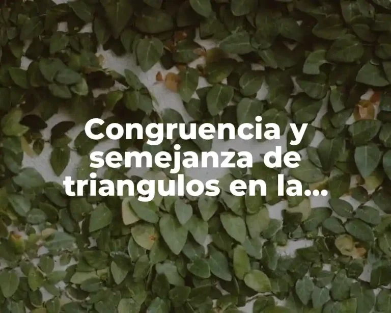 Congruencia y semejanza de triangulos en la arquitectura