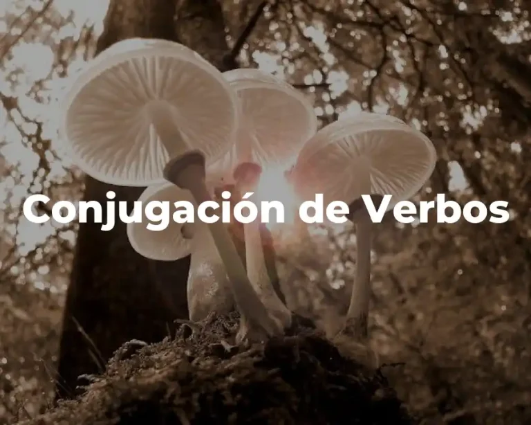Conjugación de Verbos