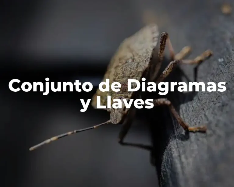 Conjunto de Diagramas y Llaves