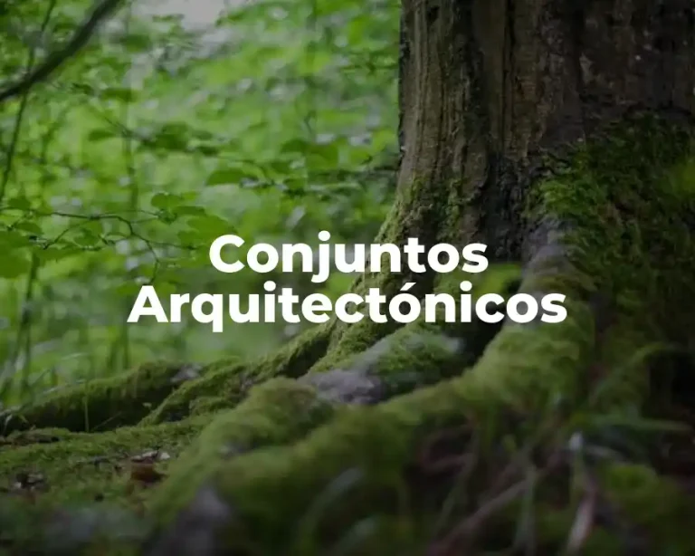 Conjuntos Arquitectónicos