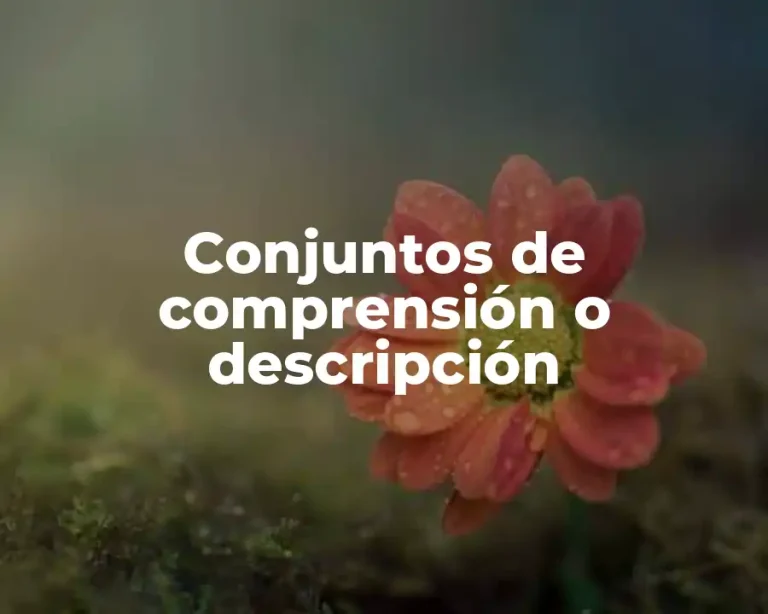 Conjuntos de comprensión o descripción