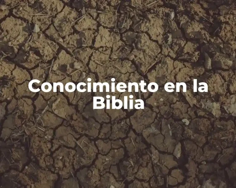 Conocimiento en la Biblia
