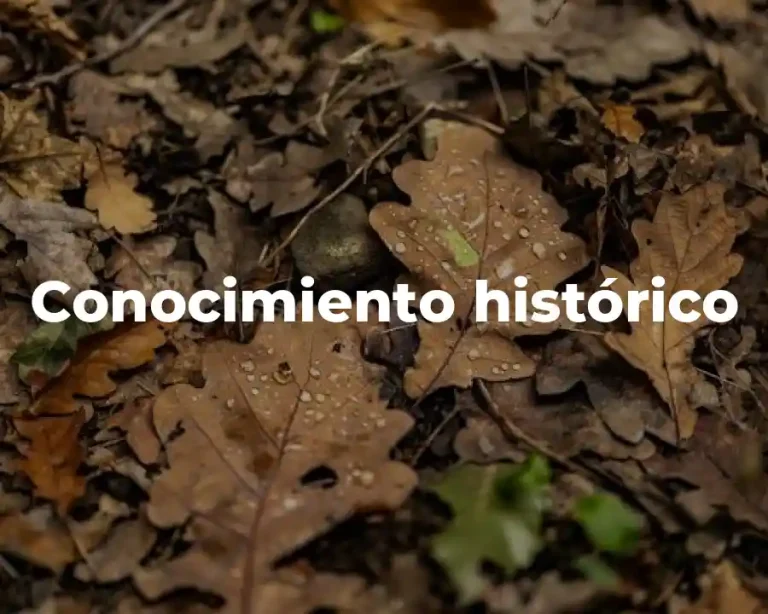 Conocimiento histórico