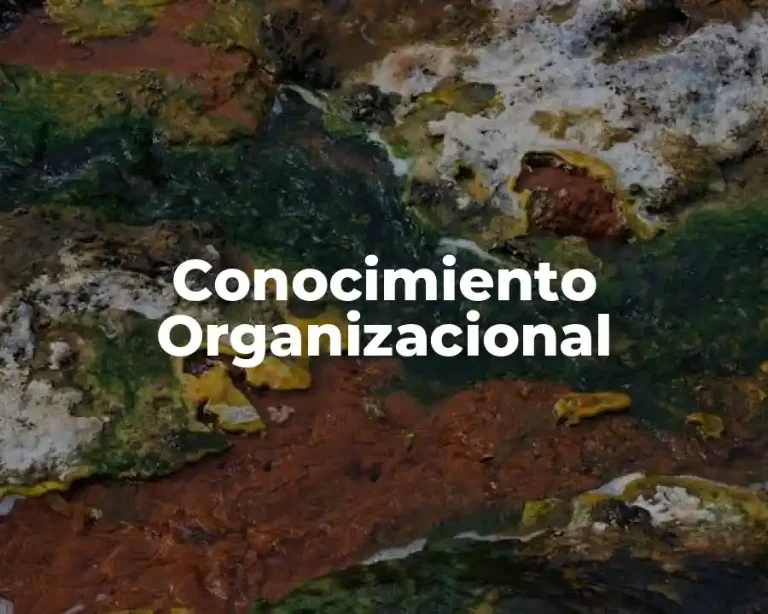 Conocimiento Organizacional