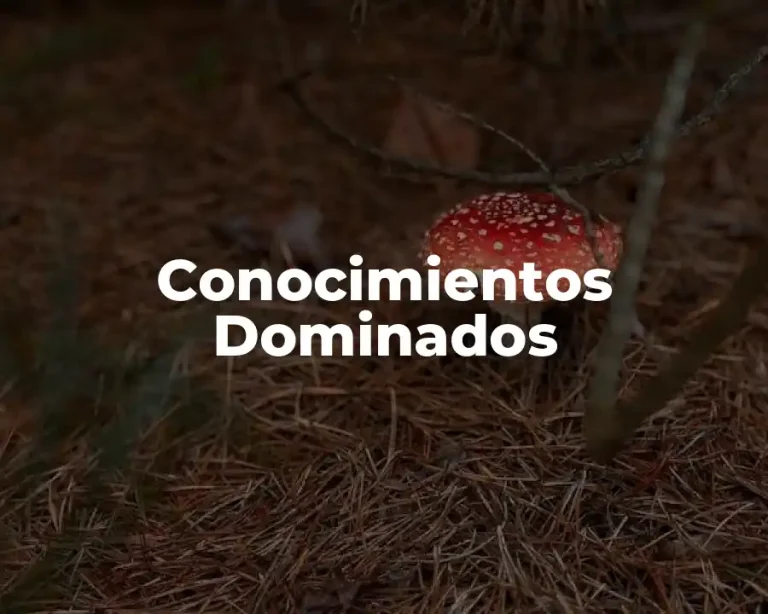 Conocimientos Dominados