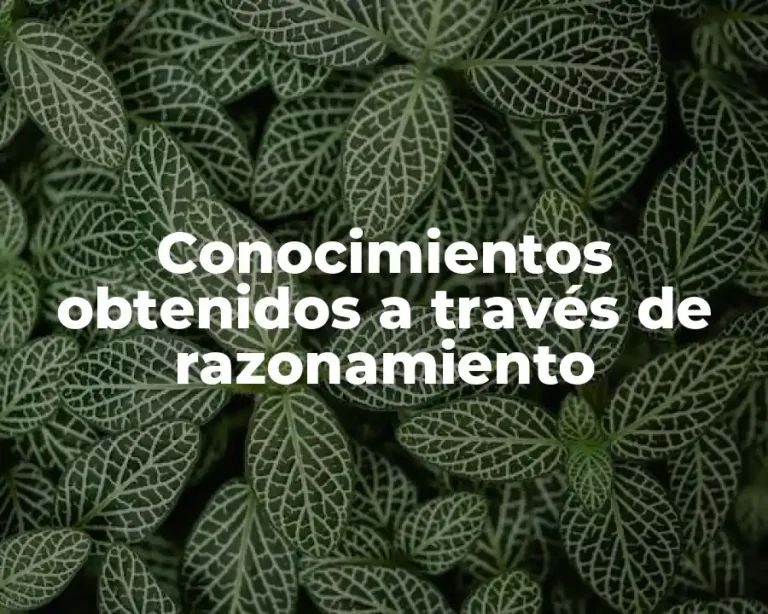 Conocimientos obtenidos a través de razonamiento