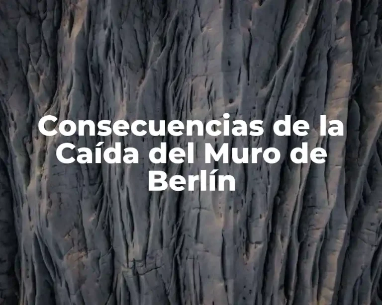 Consecuencias de la Caída del Muro de Berlín