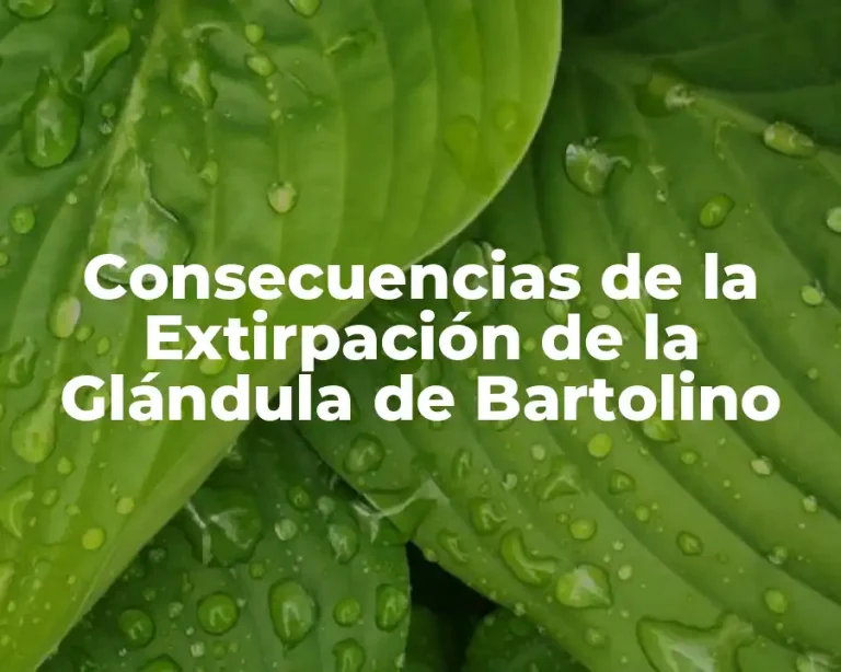 Consecuencias de la Extirpación de la Glándula de Bartolino