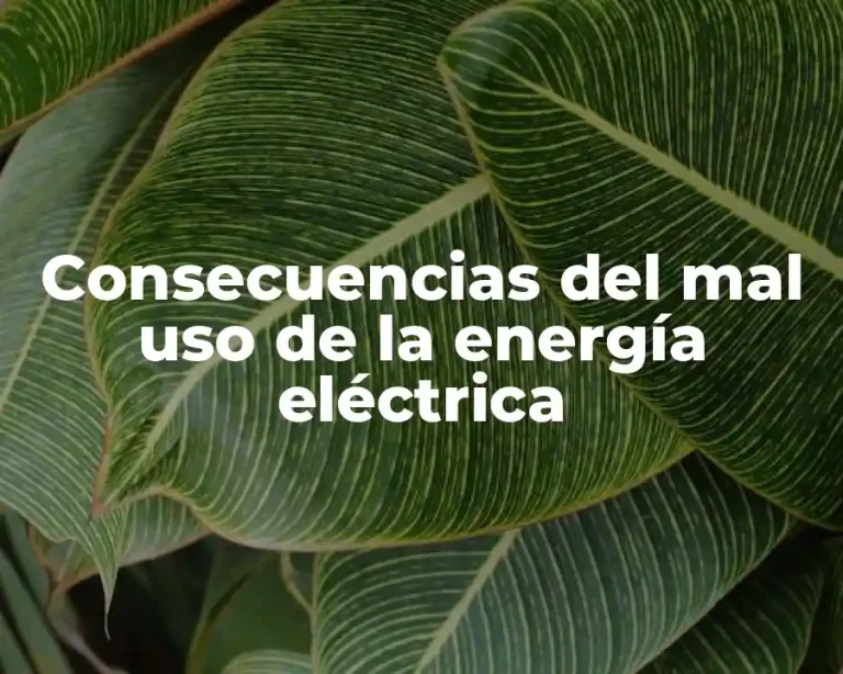 Consecuencias del mal uso de la energía eléctrica