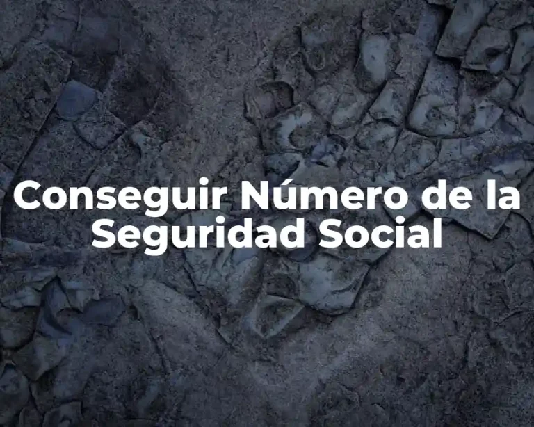 Conseguir Número de la Seguridad Social