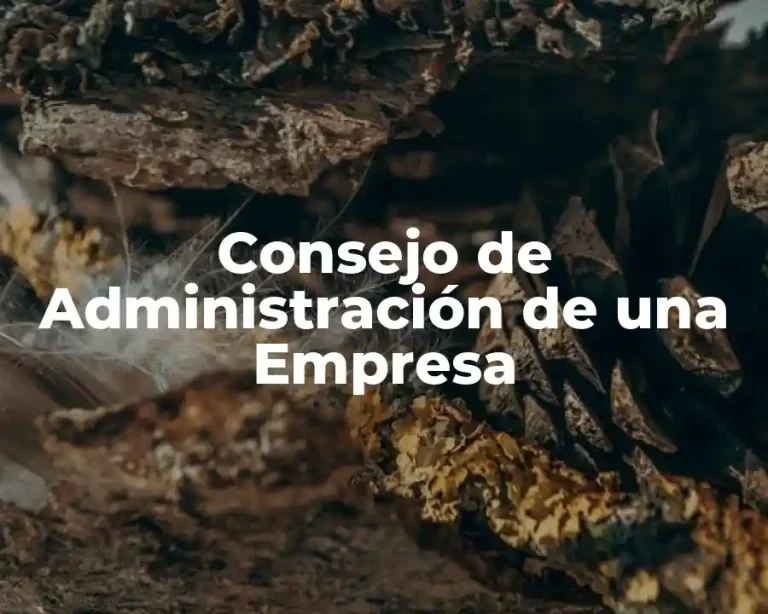 Consejo de Administración de una Empresa