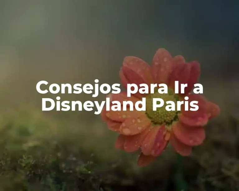 Consejos para Ir a Disneyland Paris