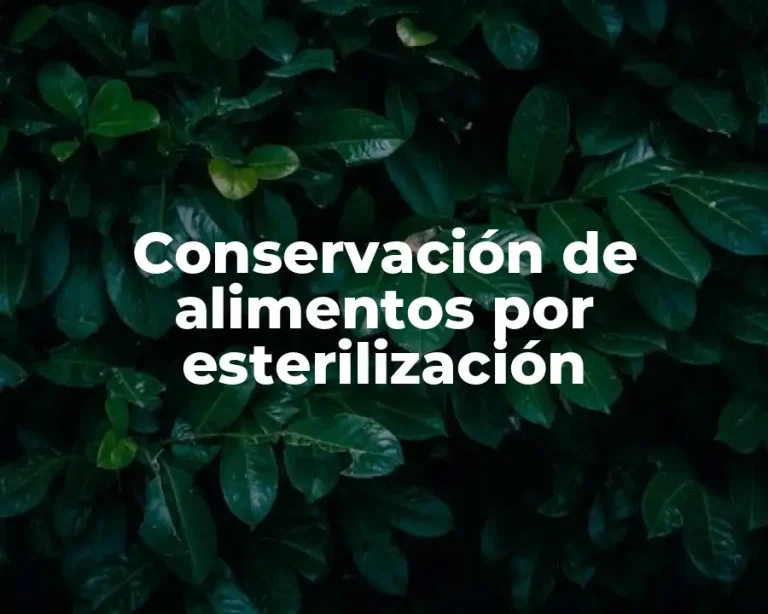 Conservación de alimentos por esterilización