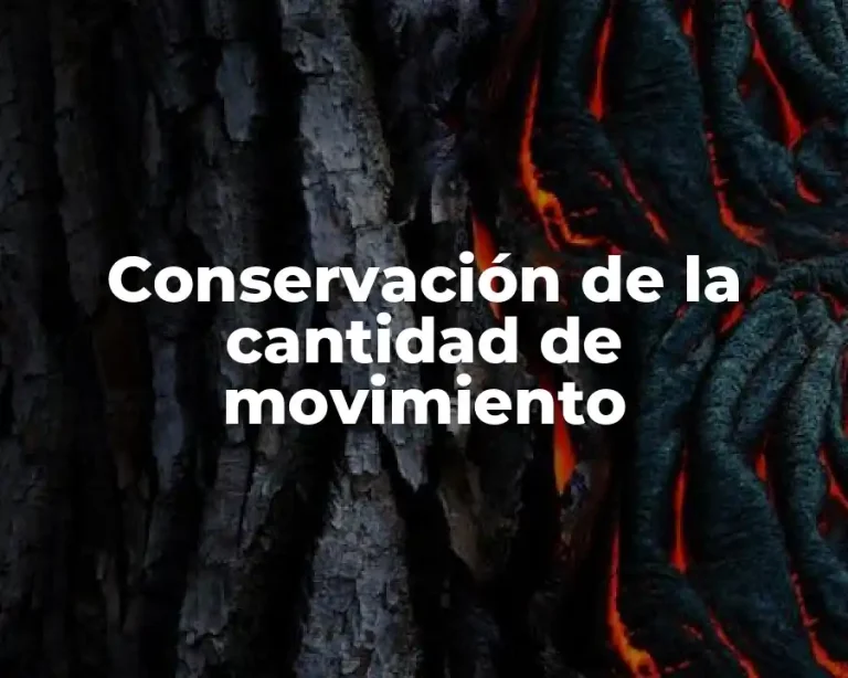 Conservación de la cantidad de movimiento