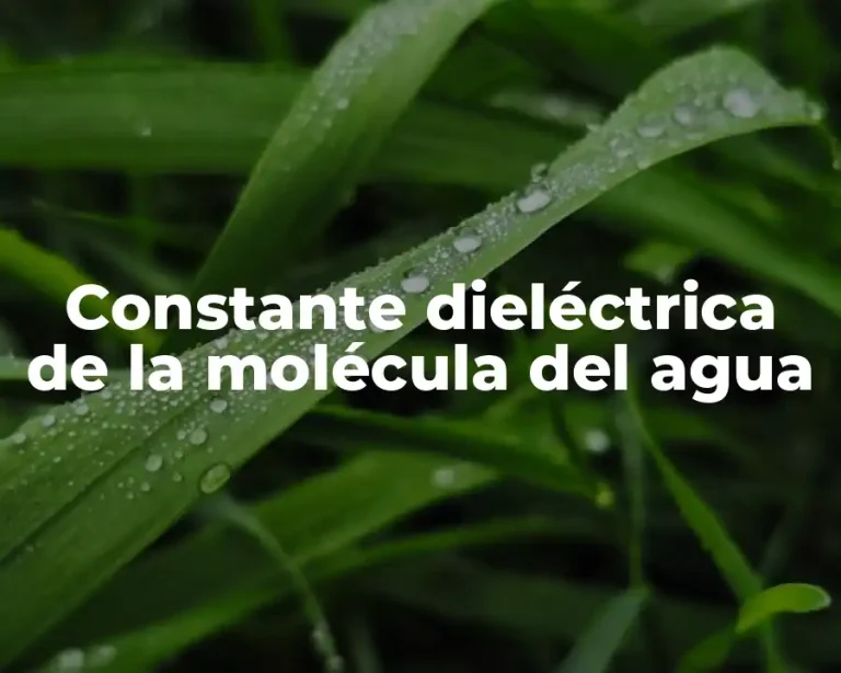 Constante dieléctrica de la molécula del agua