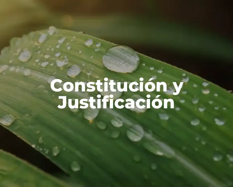 Constitución y Justificación