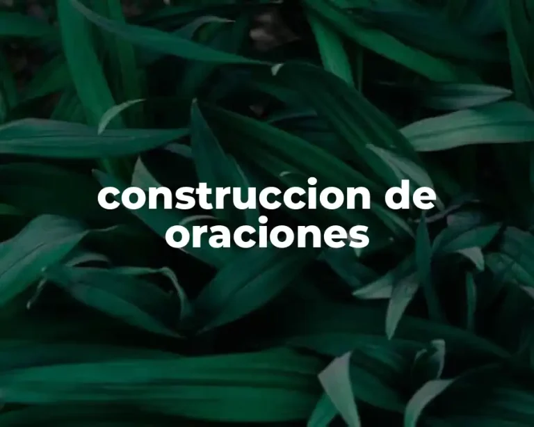 construccion de oraciones