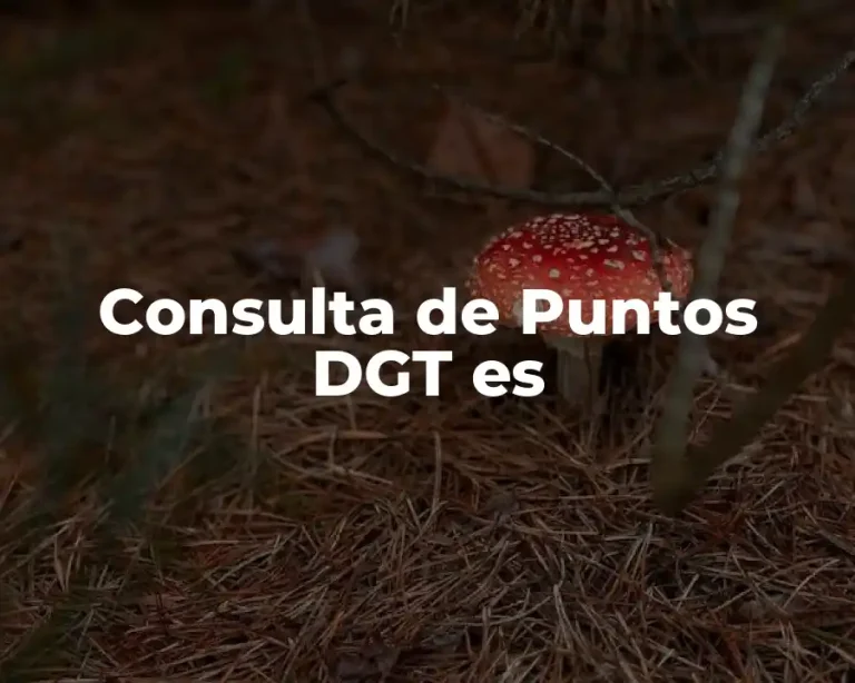 Consulta de Puntos DGT es