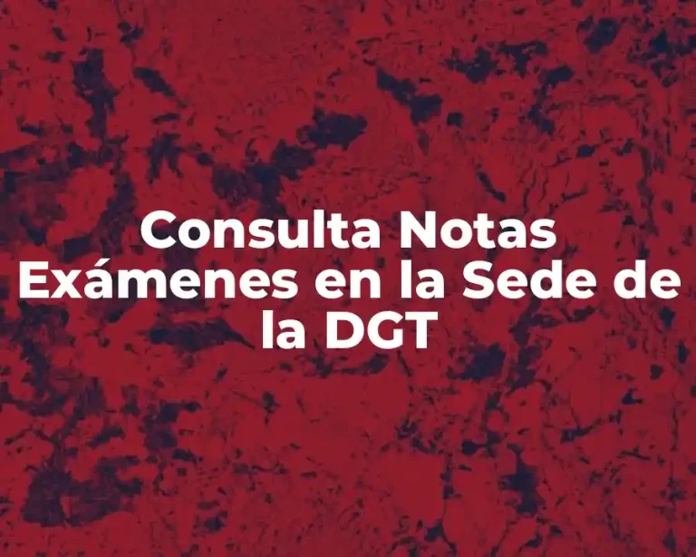 Consulta Notas Exámenes en la Sede de la DGT