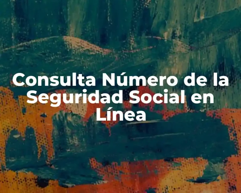 Consulta Número de la Seguridad Social en Línea