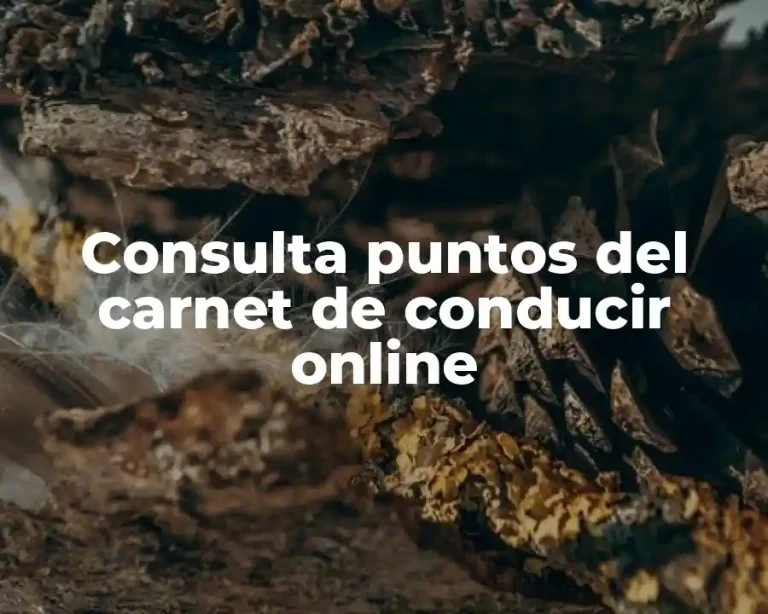 Consulta puntos del carnet de conducir online