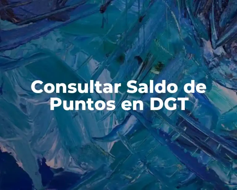 Consultar Saldo de Puntos en DGT