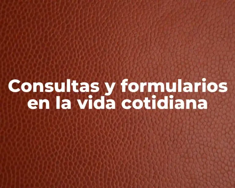 Consultas y formularios en la vida cotidiana