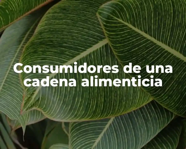 Consumidores de una cadena alimenticia
