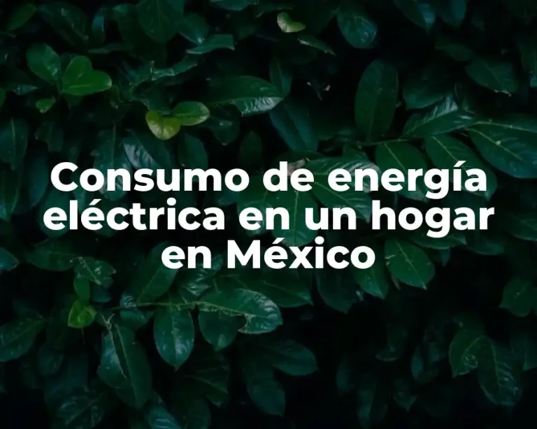 Consumo de energía eléctrica en un hogar en México