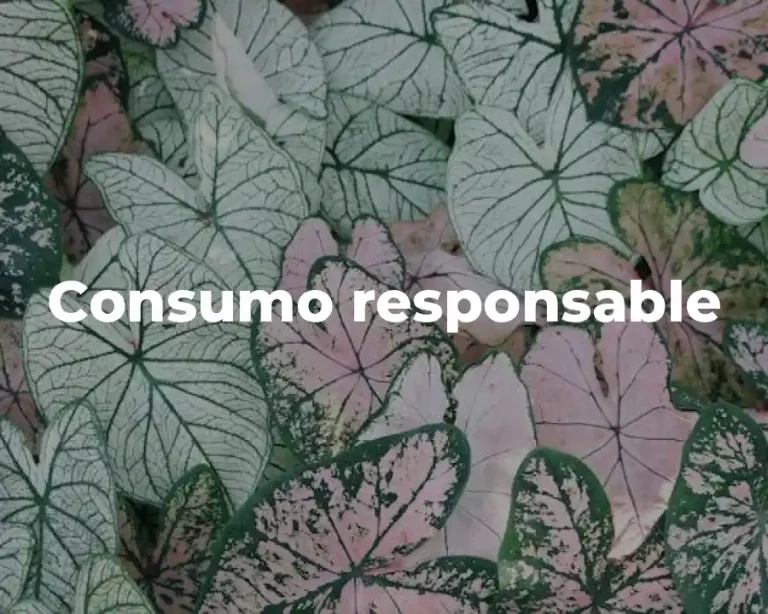 Consumo responsable