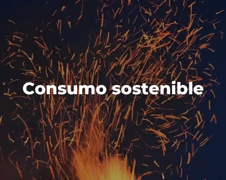 Consumo sostenible