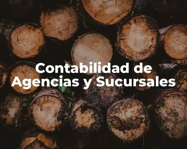 Contabilidad de Agencias y Sucursales