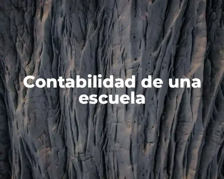 Contabilidad de una escuela