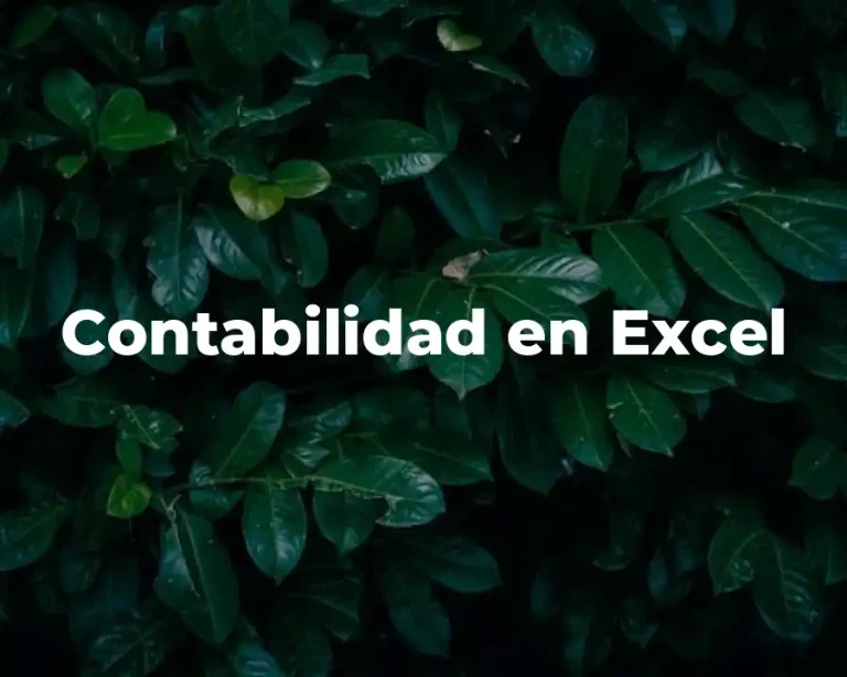 Contabilidad en Excel