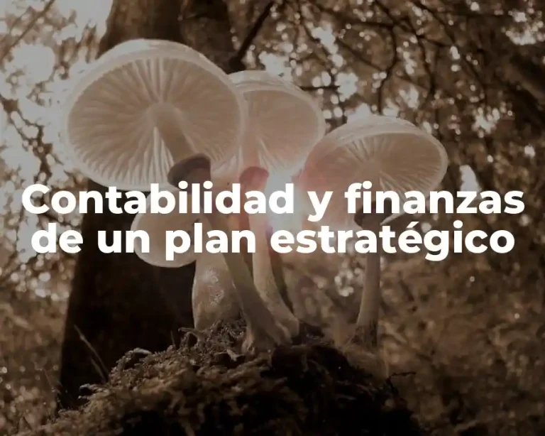 Contabilidad y finanzas de un plan estratégico
