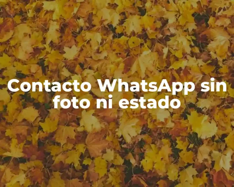 Contacto WhatsApp sin foto ni estado