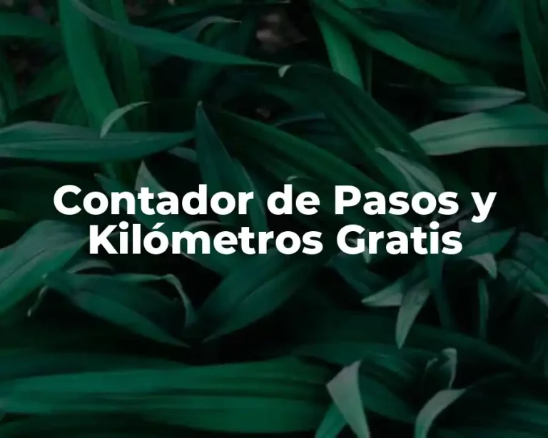 Contador de Pasos y Kilómetros Gratis
