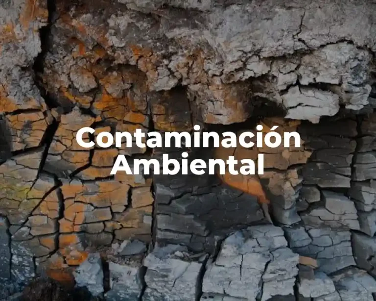 Contaminación Ambiental