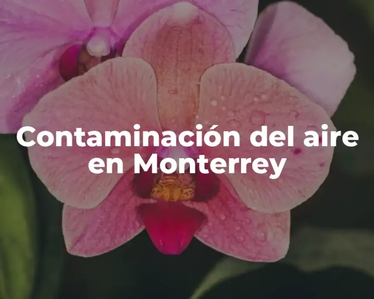 Contaminación del aire en Monterrey