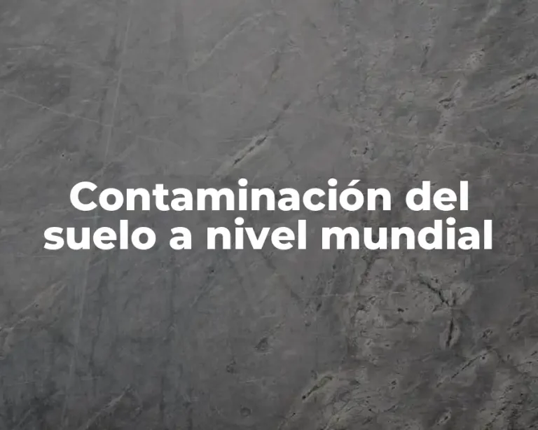 Contaminación del suelo a nivel mundial