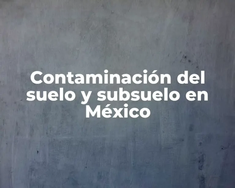 Contaminación del suelo y subsuelo en México