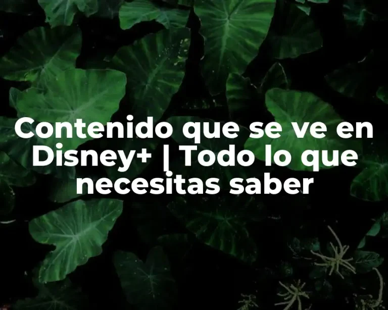 Contenido que se ve en Disney+ | Todo lo que necesitas saber