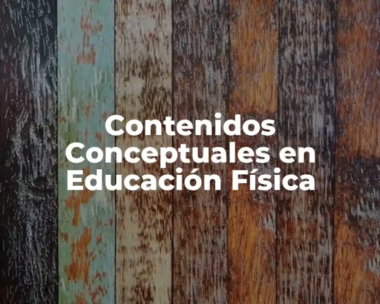 Contenidos Conceptuales en Educación Física