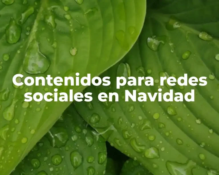Contenidos para redes sociales en Navidad