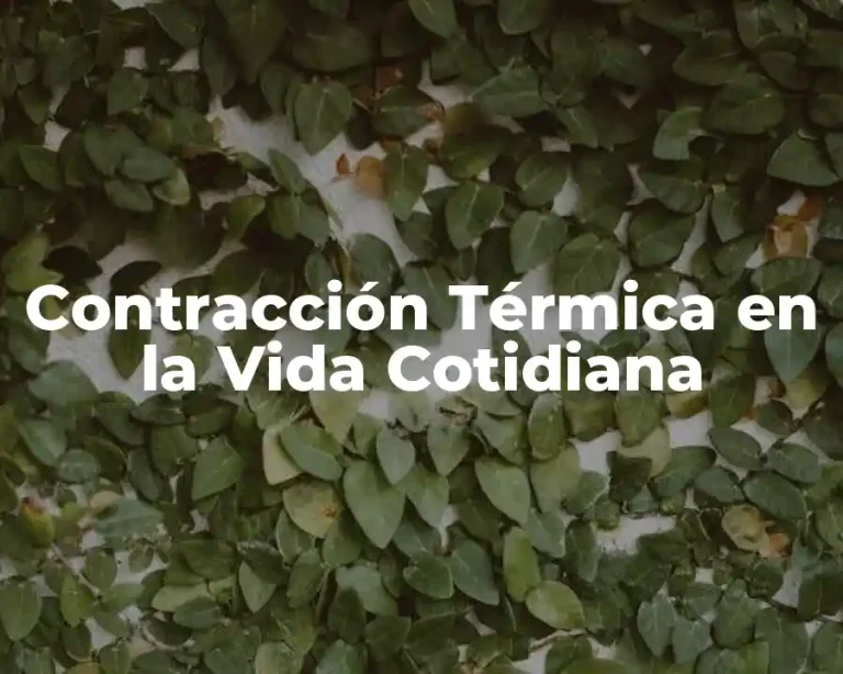 Contracción Térmica en la Vida Cotidiana
