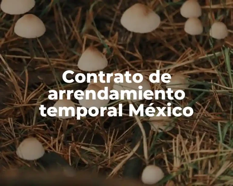 Contrato de arrendamiento temporal México