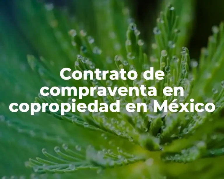 Contrato de compraventa en copropiedad en México