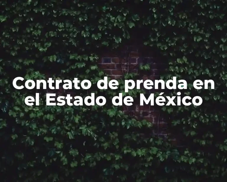 Contrato de prenda en el Estado de México