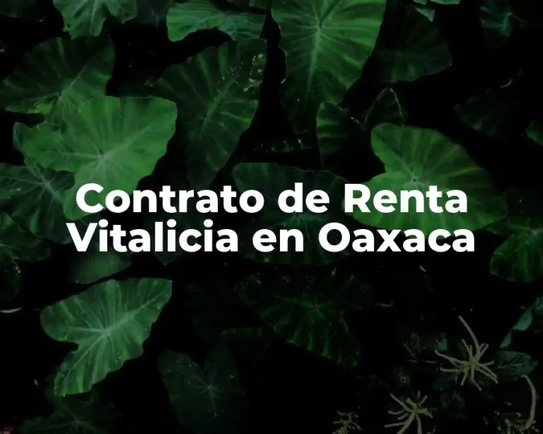 Contrato de Renta Vitalicia en Oaxaca