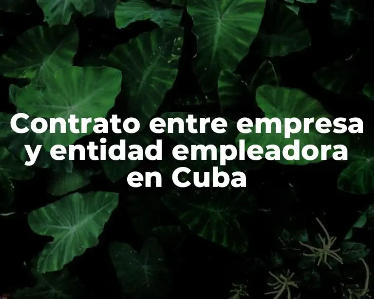 Contrato entre empresa y entidad empleadora en Cuba